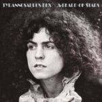 l'album A Beard of Stars de TYRANNOSAURUS REX en1970 farouchement expérimental. La voix, les mélodies accrocheuses sont l