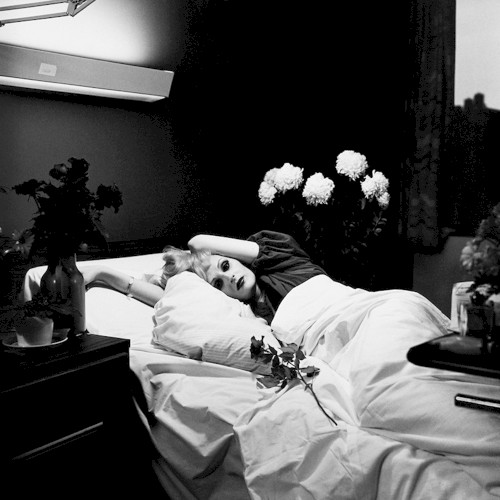 Pochette de I Am a Bird Now par ANTONY AND THE JOHNSONS (2005)