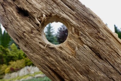 Photo de HOLE