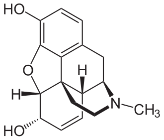 Photo de MORPHINE