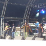 Photo de The WAILERS — légende du rock sur DiscRock