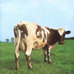 Atom Heart Mother - PINK FLOYD - 1970 | rock/pop rock | progressive rock | psychédélique. Atom Heart Mother, le cinquième album du légendaire groupe de rock Pink Floyd, se distingue comme l'un des albums les plus uniques de tout leur catalogue.