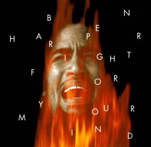 Pochette de Fight for Your Mind par Ben HARPER (1995)