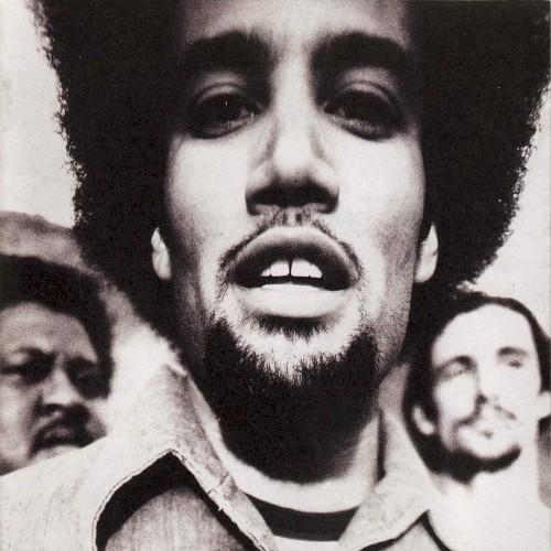 Pochette de The Will to Live par Ben HARPER (1997)