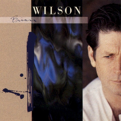 Pochette de Brian Wilson par Brian WILSON (1988)