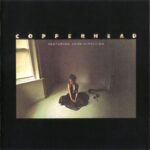 COPPERHEAD - 1973 | blues rock | country rock | rock/pop rock | southern rock. La pochette de l'album est très bon, c'est la meilleure chose de l'album.