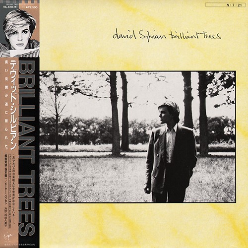 Pochette de Brilliant Trees par David SYLVIAN (1984)