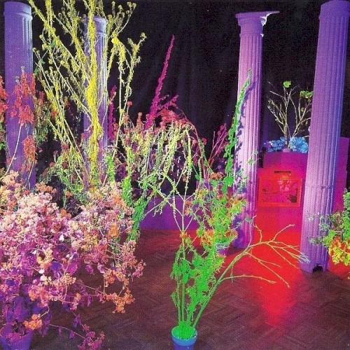 Pochette de Warehouse: Songs and Stories par HUSKER DU (1987)