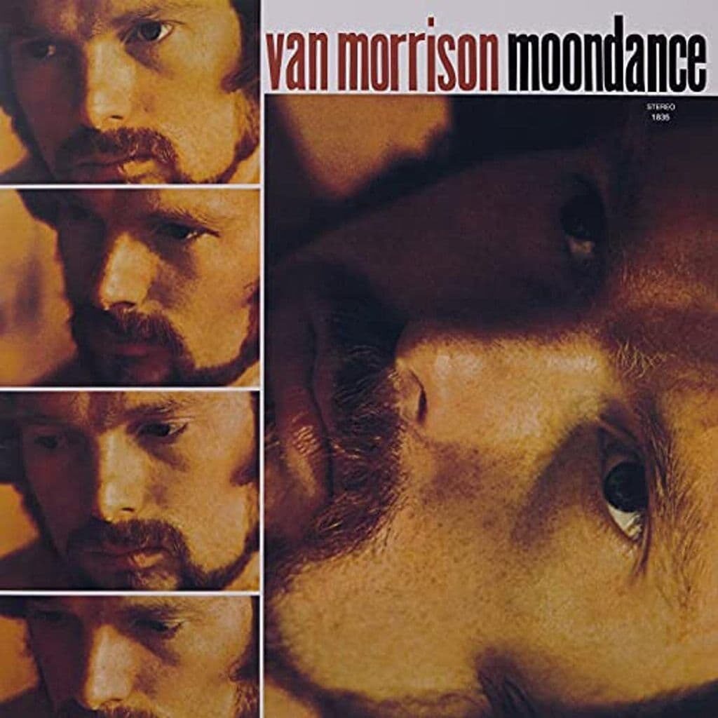 Moondance - Van MORRISON - 1970 | folk rock | jazz-rock | rock/pop rock | soft rock.Van Morrison est vraiment un don de Dieu. Sa musique vous emmène dans un voyage magique, et une fois que vous commencez à écouter ses chansons