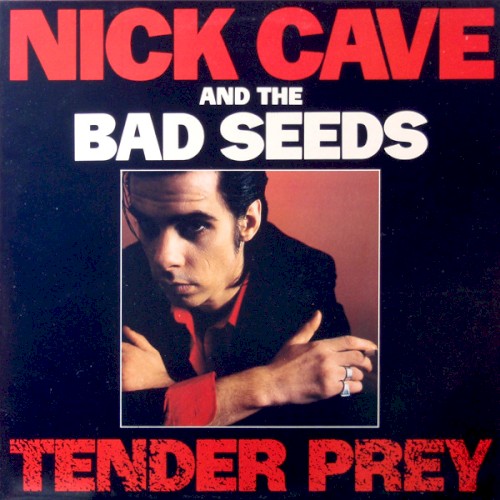 Pochette de Tender Prey par Nick CAVE (1988)
