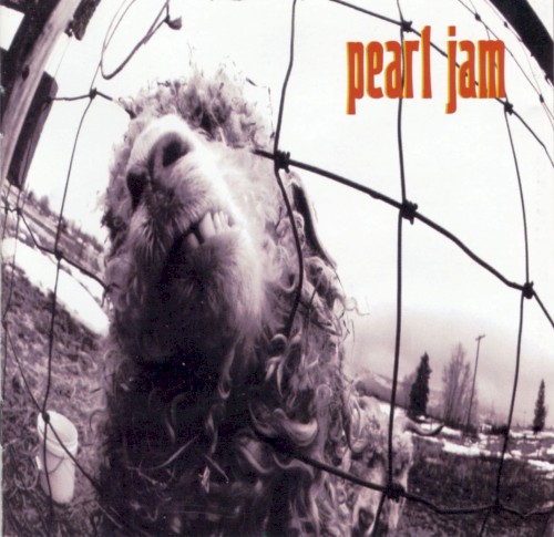 Pochette de Vs. par PEARL JAM (1993)