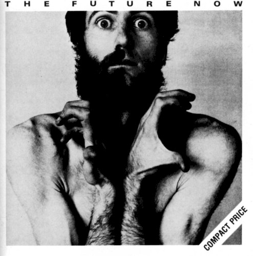 Pochette de The Future Now par Peter HAMMILL (1978)