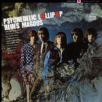 Psychedelic Lollipop - The BLUES MAGOOS - 1966 : | rock/pop rock | psychédélique. sur leur premier album "Psychedelic Lollipop", vous trouverez leur premier tube "She's Coming Home" et leur version de "Tobacco Road". Cela commence comme une chanson de Liverpool et se termine comme les Sex Pistols. Ils étaient vraiment fantastiques.