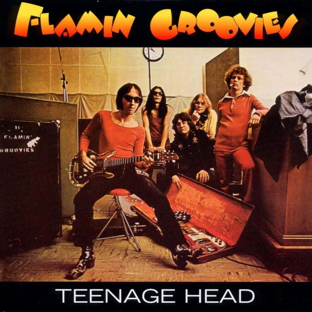 Teenage Head - The FLAMIN' GROOVIES - 1971 | rock/pop rock | proto-punk | rock-n-roll. Il existe de nombreux bons groupes, mais celui-ci est un excellent groupe de San Francisco qui n'oublie jamais l'importance du roll dans le rock.
