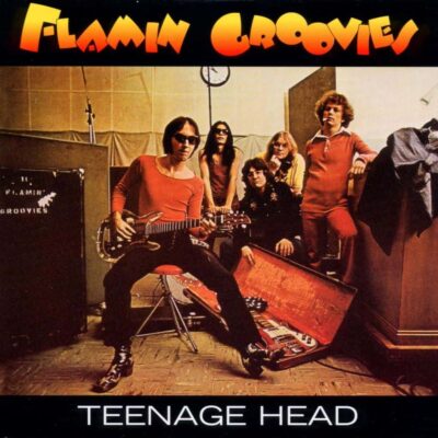 Teenage Head - The FLAMIN' GROOVIES - 1971 | rock/pop rock | proto-punk | rock-n-roll. Il existe de nombreux bons groupes, mais celui-ci est un excellent groupe de San Francisco qui n'oublie jamais l'importance du roll dans le rock.