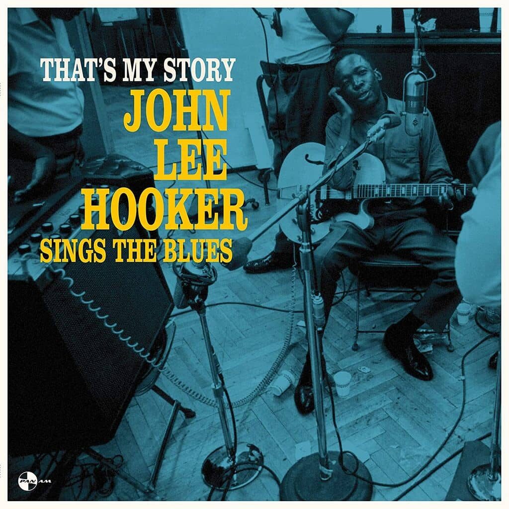"John Lee Hooker" en 1960 signe ici avec cet album "That's My Story" un disque parfais
