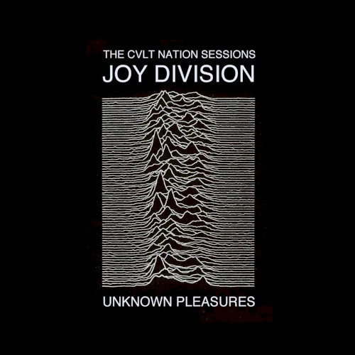 Pochette de Closer par The JOY DIVISION (1980)