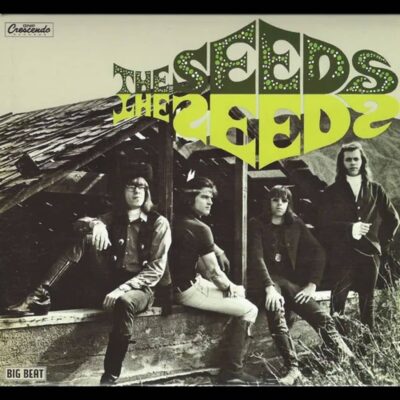 The SEEDS sorti en 1966 - L'un des plus grands premiers albums de tous les temps. Le Evil hoodoo vaut à lui seul le prix d'entrée.