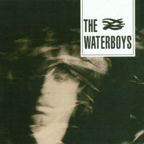 Pochette de The Waterboys par The WATERBOYS (1983)
