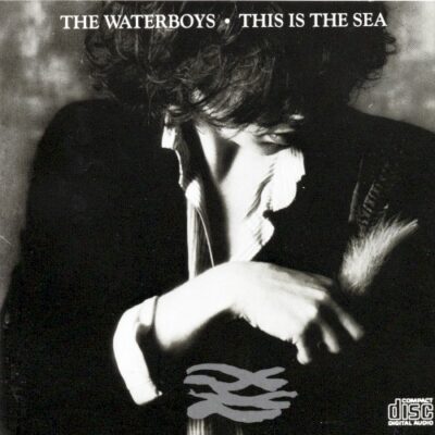 This Is the Sea