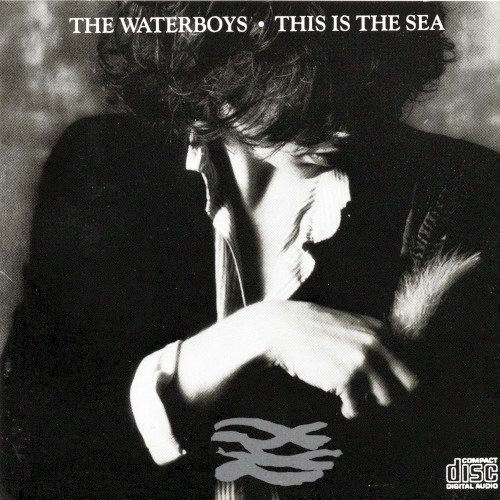 Pochette de This Is the Sea par The WATERBOYS (1985)