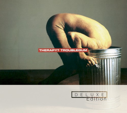 Pochette de Troublegum par THERAPY? (1994)