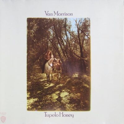 Tupelo Honey - Van MORRISON - 1971 | folk rock | rock/pop rock | soft rock. Van Morisson est un antidote à la dépression. Chaque chanson est une petite injection de bonheur.