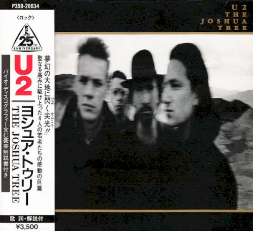 Pochette de The Joshua Tree par U2 (1987)